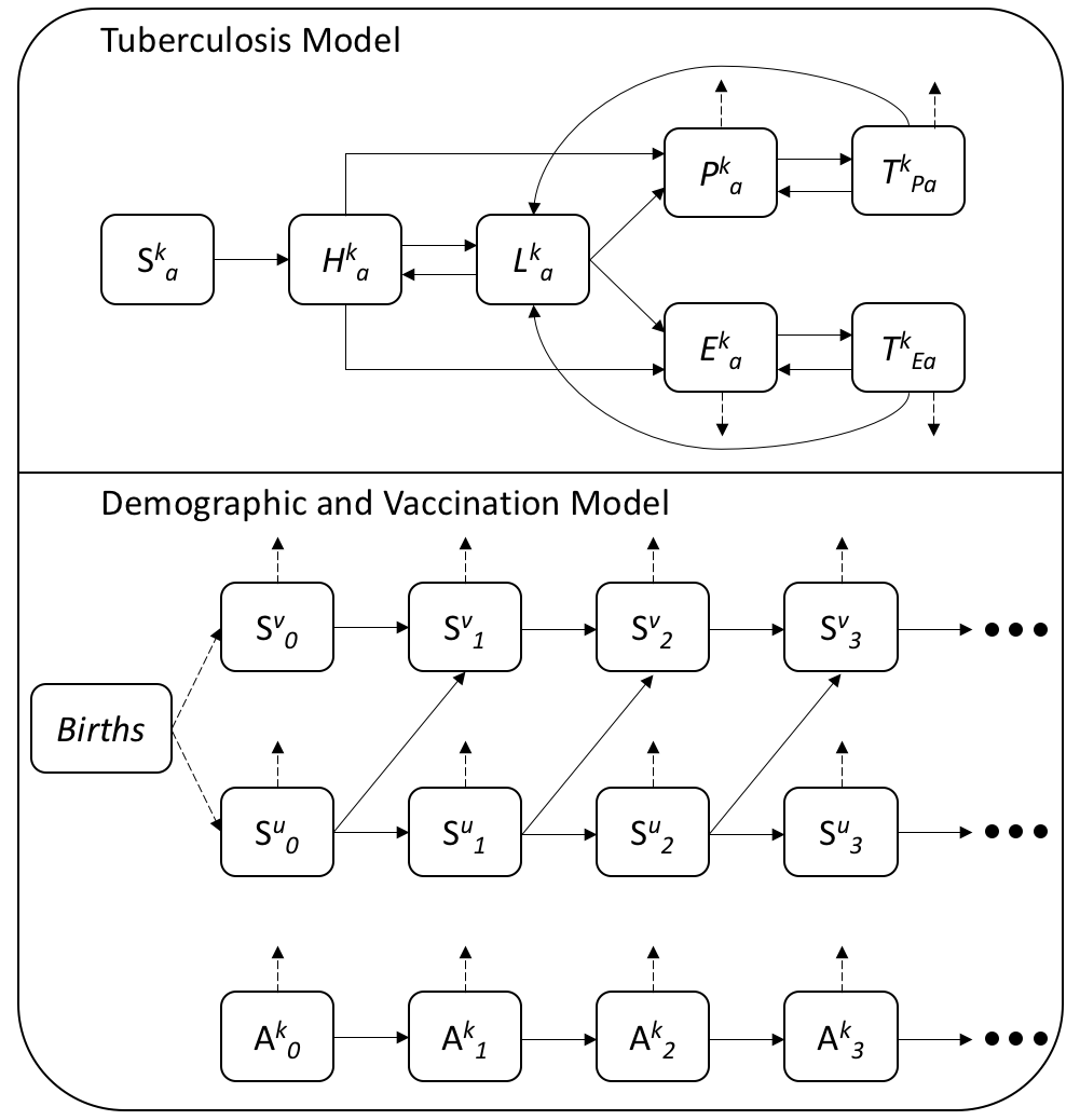 Flow diagram for the dynamic TB disease model with demographics and vaccination described. The TB model contains the following compartments; Susceptible ($S$), high risk latent ($H$), low risk latent ($L$), active cases with pulmonary TB ($P$), active TB cases with extra-pulmonary TB only ($E$), pulmonary cases on treatment ($T_P$), and extra-pulmonary cases on treatment ($T_E$). The vaccinated ($v$) and unvaccinated ($u$) populations are represented by $k$, such that $k = u,v$. Age stratification is represented by $a$ (where $a = 1, 2, ...,11$) in the disease model and the $0, 1, 2, 3$ subscripts in the demographic model. Each age groups spans 5 years (i.e $0-4$, $5-9$, $10-14$, ...) up to 49 years old, with a single age group for those aged 50-69 years old and those aged 70-89 years old. Individuals aged $90+$ are not explicitly modelled. In the demographic and vaccination model the A compartment represents the demographic processes modelled in all population compartments except for the vaccinated and unvaccinated susceptible populations. Solid arrows represent transition rates within the modelled populations and dashed arrows represent transition rates into, or out of the modelled populations (i.e birth and death processes).